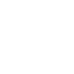 Prevencion de perdida de la independencia.